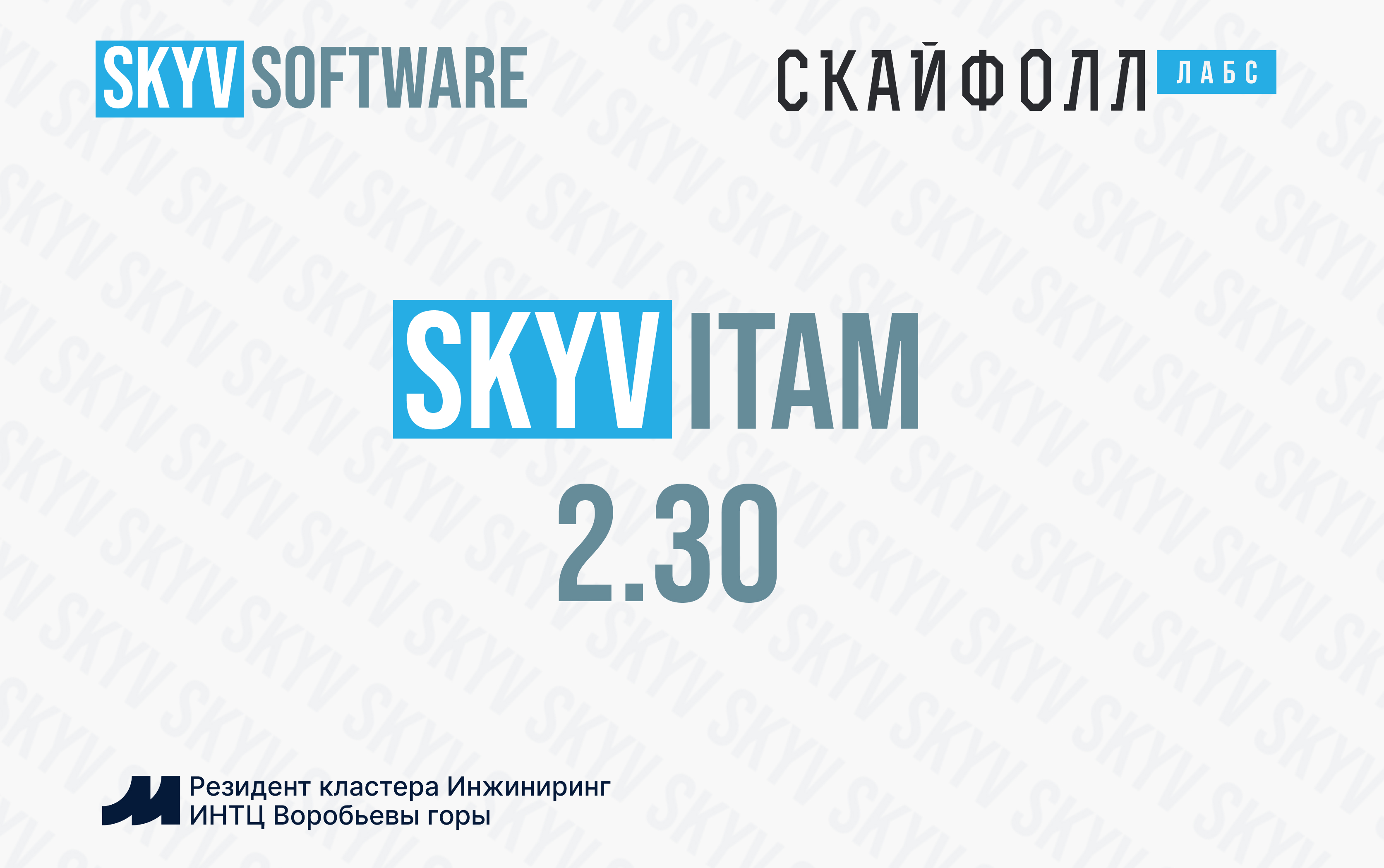 SkyV ITAM 2.30: гибкая настройка атрибутов, визуальные индикаторы и новый уровень управления доступом